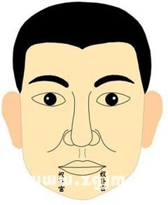 下巴有青筋面相
