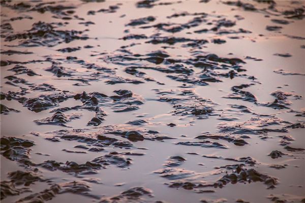 女人夢到腳踩稀泥走路_周公解夢