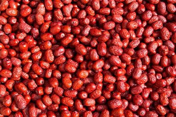 夢見一樹紅棗_周公解夢