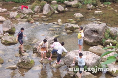 夢見抓魚沒抓到