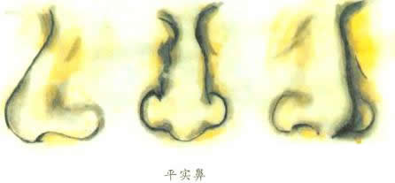 鼻子大就會有財運嗎 什麼樣的鼻子有財運