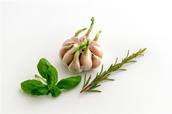 夢到了偷蒜苗是什麼預兆?_周公解夢