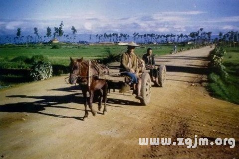 夢見趕馬車