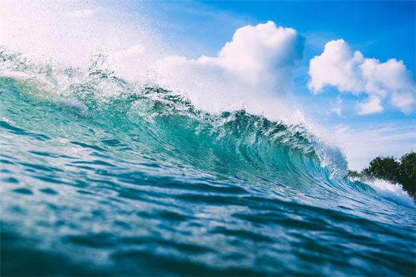 夢見大海水很清澈_周公解夢