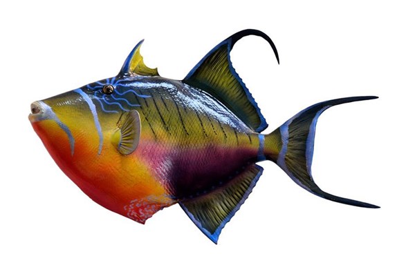夢見魚人什麼預兆_周公解夢
